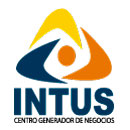 Icon INTUS